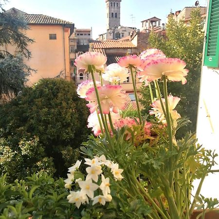 Bed And Breakfast Evelina Lucca Buitenkant foto
